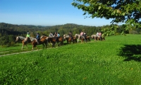 Reitferien Woche 41
